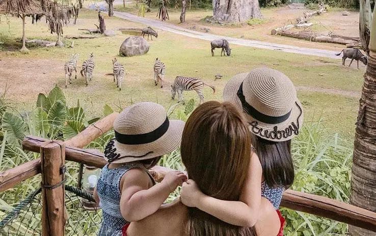 JUNGLE SAFARI @ MARA RIVER SAFARI RESORT