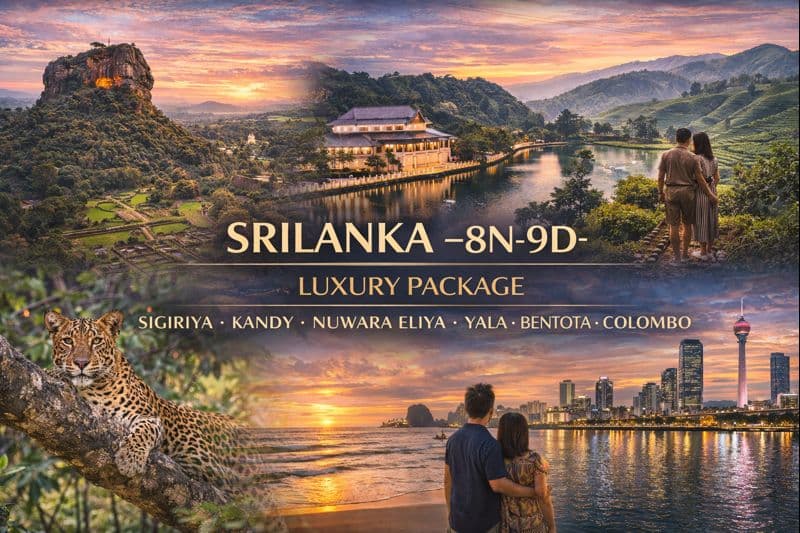 Srilanka -8N9D - Sigiriya - Kandy - Nuwara Eliya - Yala - Bentota - C…