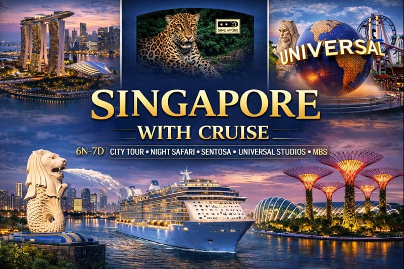 CITY TOUR ✦ NIGHT SAFARI ✦ SENTOSA ✦ UNIVERSAL STUDIOS ✦ MBS